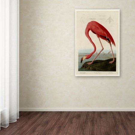 Trademark Fine Art John James Audubon 'American Flamingo' Canvas Art, 16x24 AA01276-C1624GG